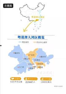 粤港澳大湾区新闻爆料,最新动态与热点事件盘点