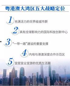 粤港澳大湾区新闻爆料,最新动态与热点事件盘点