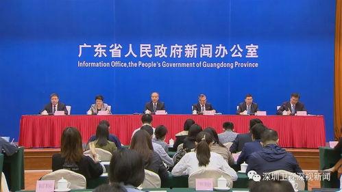 粤港澳大湾区新闻爆料,最新动态与热点事件盘点