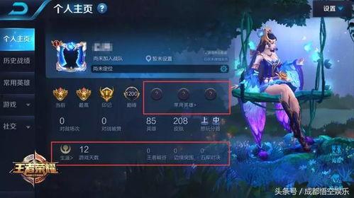 王者之神最新爆料视频,神秘英雄登场，游戏格局再掀风云
