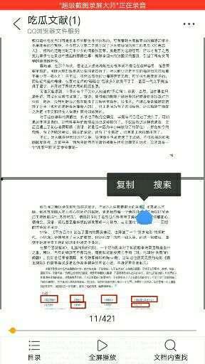 娱乐圈吃瓜421pdf,421PDF背后的惊人内幕大曝光