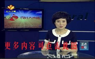 陕西农林卫视在线观看,在线观看，尽享农业科技盛宴