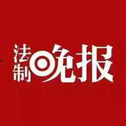 深圳卫视新闻爆料电话,揭秘新闻爆料热线背后的故事