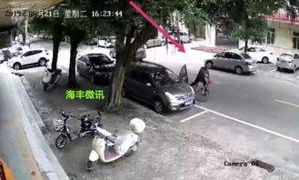 海丰爆料网碰瓷视频大全,揭秘碰瓷视频大全背后的真相与警示