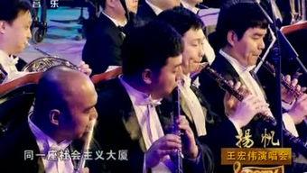 小虎爆料反转视频,揭秘真相背后的惊人内幕