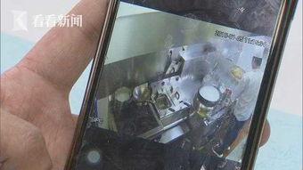 后厨手机在线观看32,揭秘美食背后的秘密