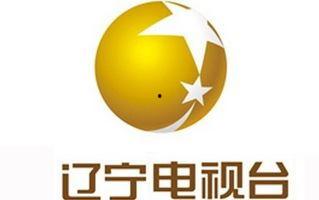辽宁公共频道在线观看,在线观看，尽享精彩瞬间