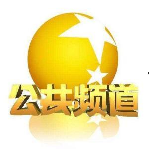 辽宁公共频道在线观看,在线观看，尽享精彩瞬间