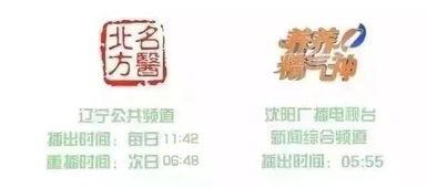 辽宁公共频道在线观看,在线观看，尽享精彩瞬间