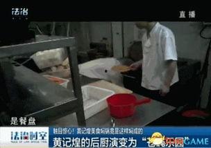 卧底爆料视频在线观看免费,免费观看爆料视频背后的真相大揭秘