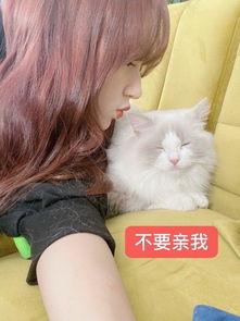 圈内爆料程潇带猫,网友直呼可爱爆表！