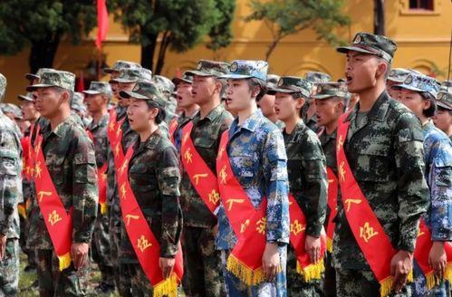 云南征兵爆料事件最新情况,真相与争议交织的最新进展