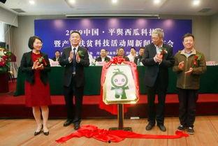 今日西瓜爆料新闻,揭秘今日热点事件背后的真相