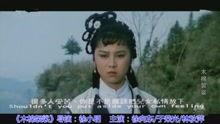 电影木棉袈裟在线观看,探寻禅意人生，穿越时空的修行之旅